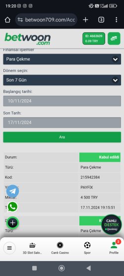 Screenshot_2024-11-17-19-20-52-227_com.android.chrome.jpg