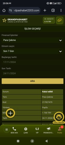 Screenshot_2024-11-24-20-06-42-709_com.android.chrome.jpg