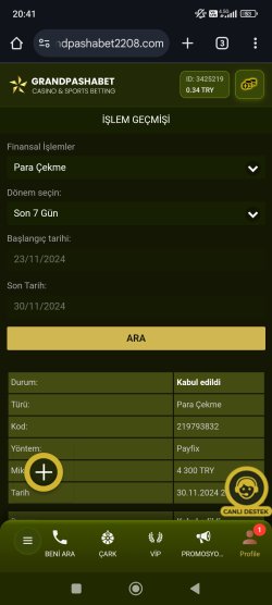 Screenshot_2024-11-30-20-41-50-909_com.android.chrome.jpg