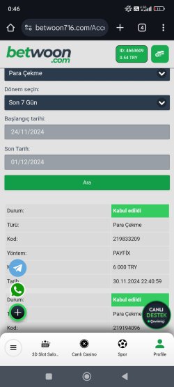 Screenshot_2024-12-01-00-46-56-723_com.android.chrome.jpg